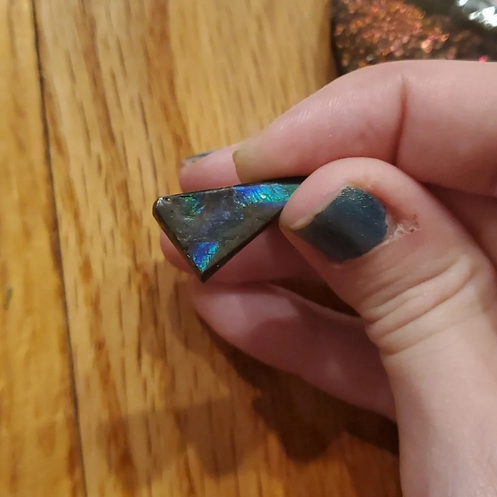 Ammolite fossil lot - Picture 6 of 12